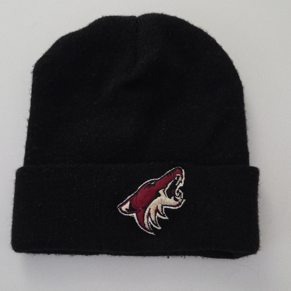 Black Beanie with Embroidered Logo